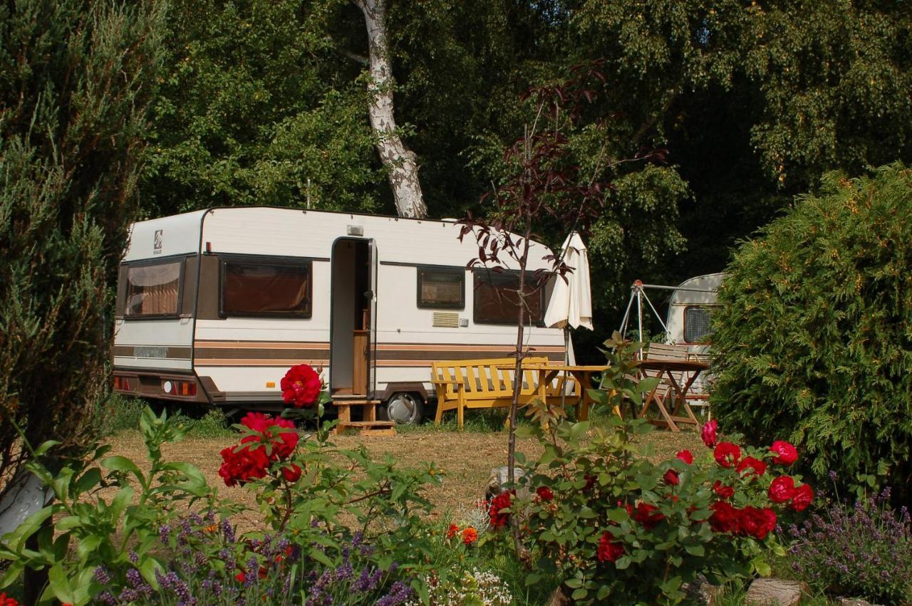 Camping Rogowo Mrzezyno Exterior photo