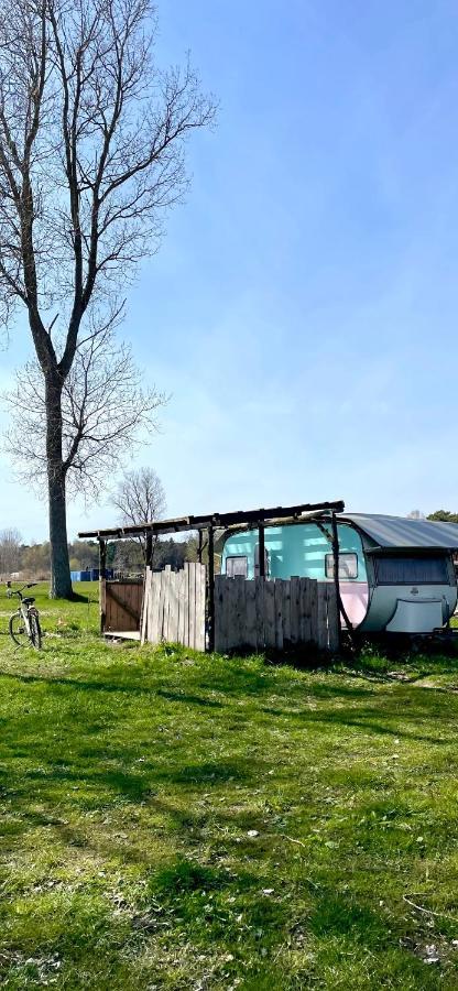 Camping Rogowo Mrzezyno Exterior photo