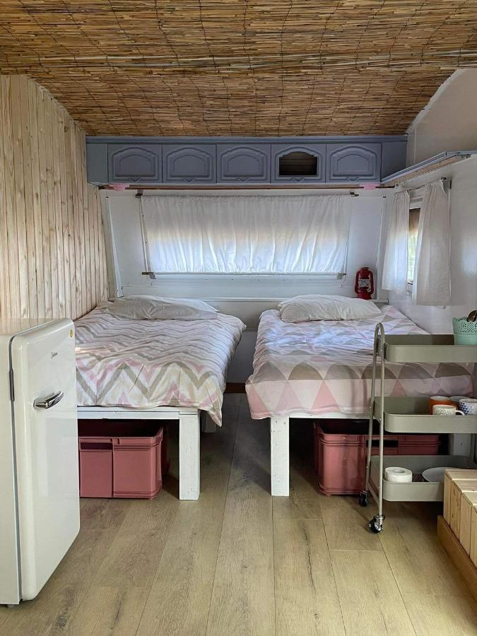 Camping Rogowo Mrzezyno Exterior photo